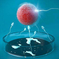 美國(guó)試管具體費(fèi)用是多少