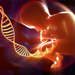 泰國(guó)做試管嬰兒可以準(zhǔn)確選擇嗎